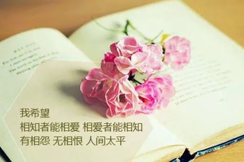 许然肖筱小说全文阅读_ (多余的心动)许然肖筱小说最新章节列表