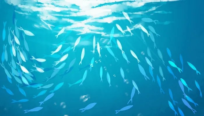 世界上海拔最低的湖泊是什么