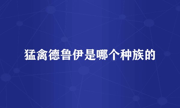 猛禽德鲁伊是哪个种族的