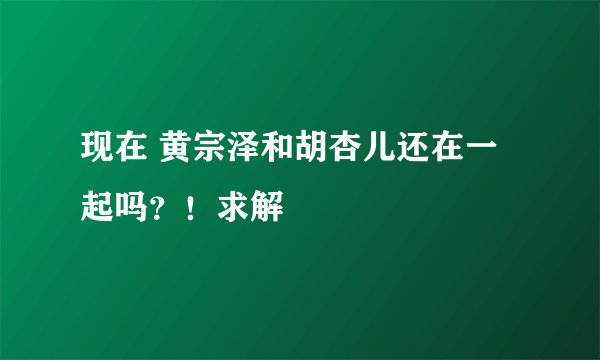 现在 黄宗泽和胡杏儿还在一起吗？！求解