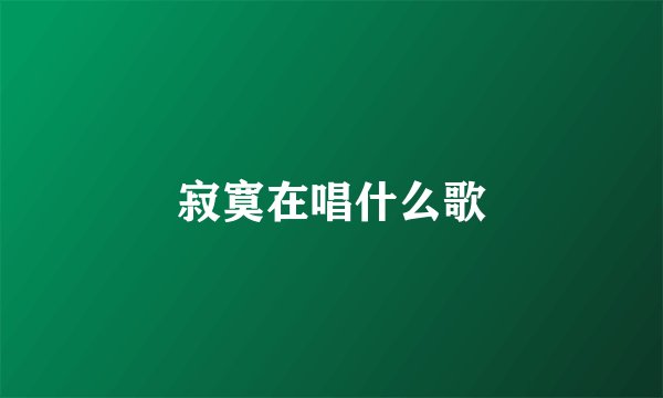 寂寞在唱什么歌