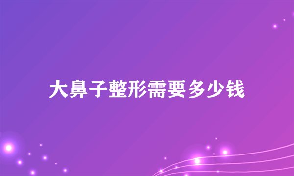大鼻子整形需要多少钱