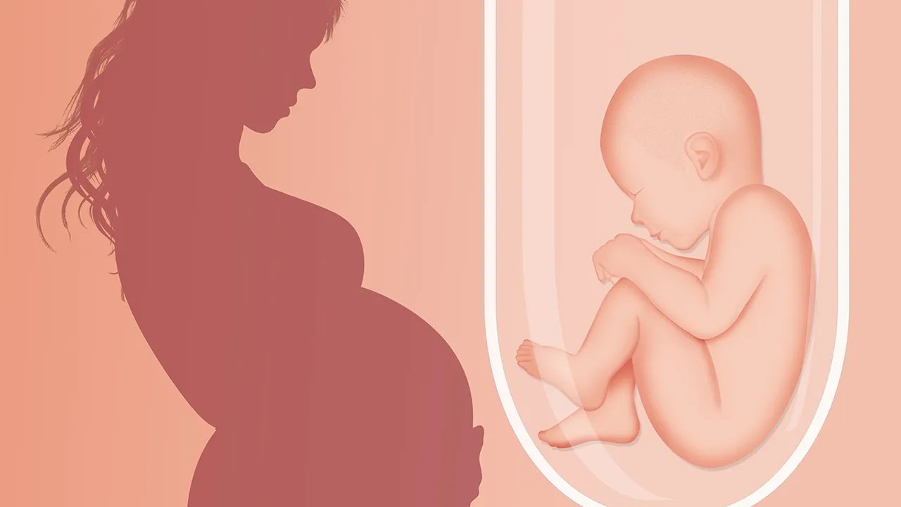 适合婴幼儿吃的食物有哪些？有机食物就非常适合婴儿吃
