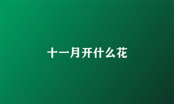 十一月开什么花