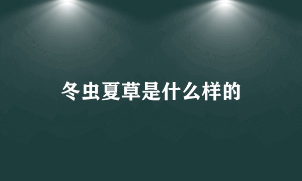 冬虫夏草是什么样的