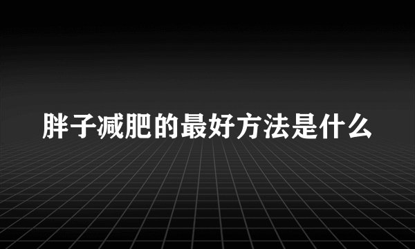 胖子减肥的最好方法是什么