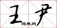 王尹