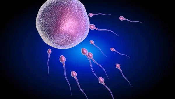 男性精子成活率低的原因是什么？