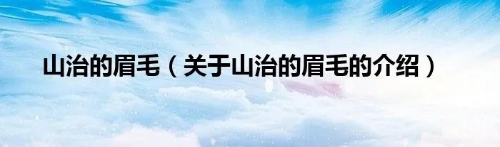 山治的眉毛（关于山治的眉毛的介绍）