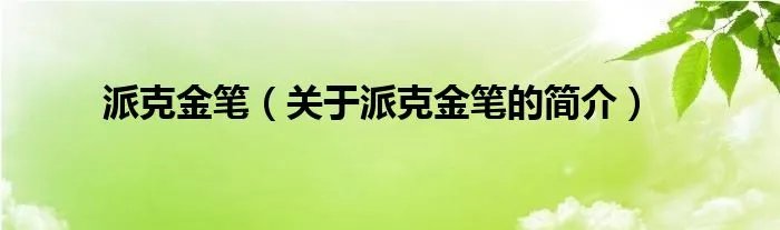 派克金笔（关于派克金笔的简介）