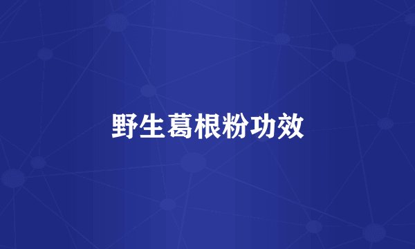野生葛根粉功效