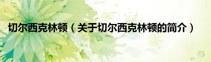 切尔西克林顿（关于切尔西克林顿的简介）