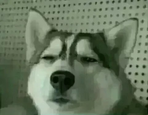 内涵段子头像