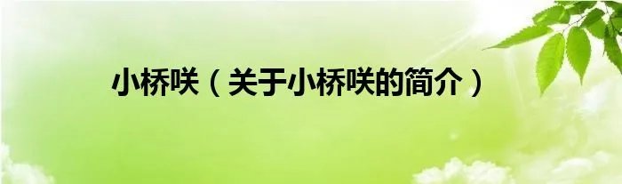 小桥咲（关于小桥咲的简介）