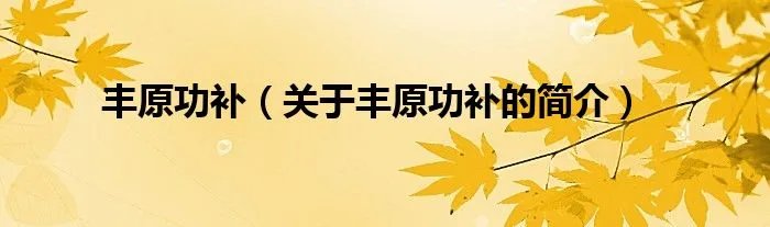 丰原功补（关于丰原功补的简介）