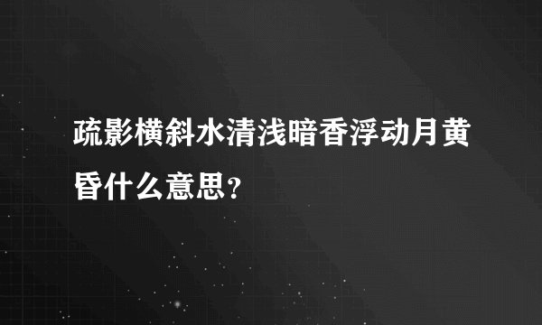 疏影横斜水清浅暗香浮动月黄昏什么意思?