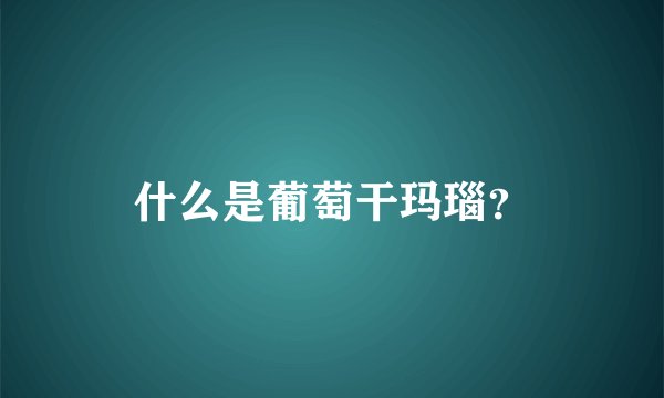 什么是葡萄干玛瑙?