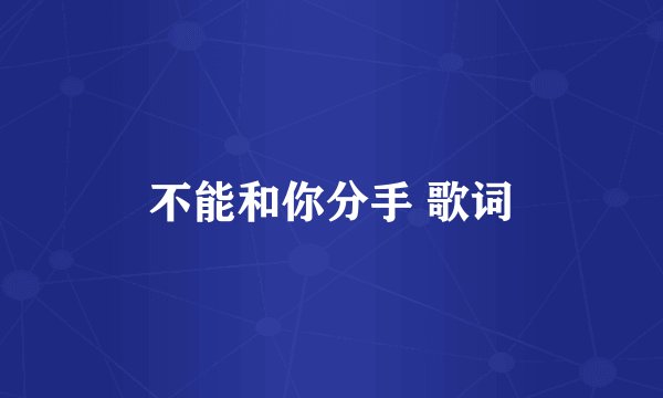 不能和你分手 歌词