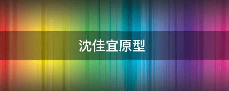 沈佳宜原型