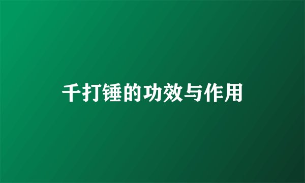 千打锤的功效与作用
