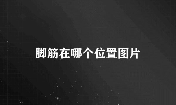 脚筋在哪个位置图片