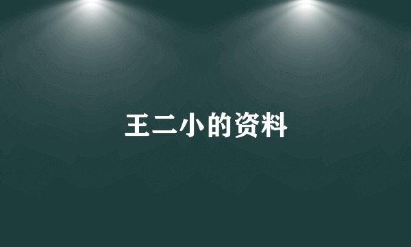 王二小的资料