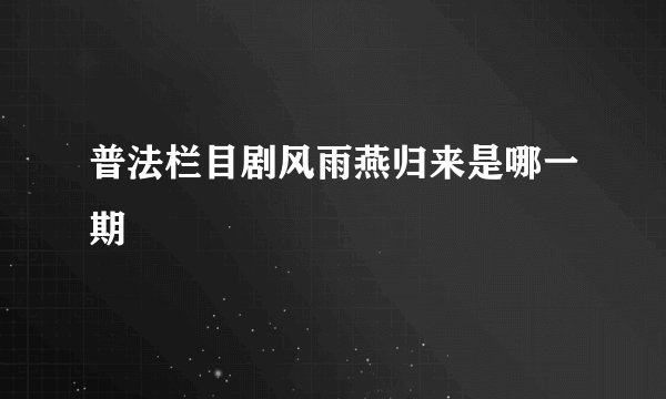 普法栏目剧风雨燕归来是哪一期