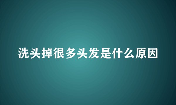 洗头掉很多头发是什么原因