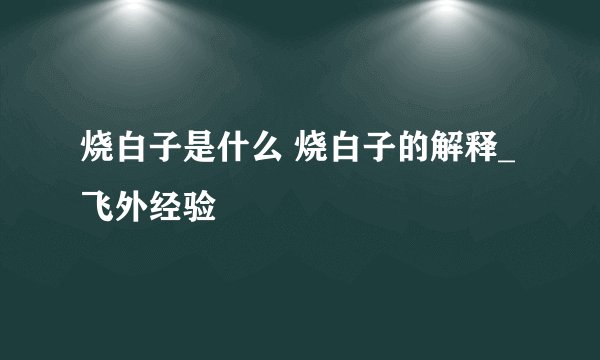 烧白子是什么 烧白子的解释_飞外经验