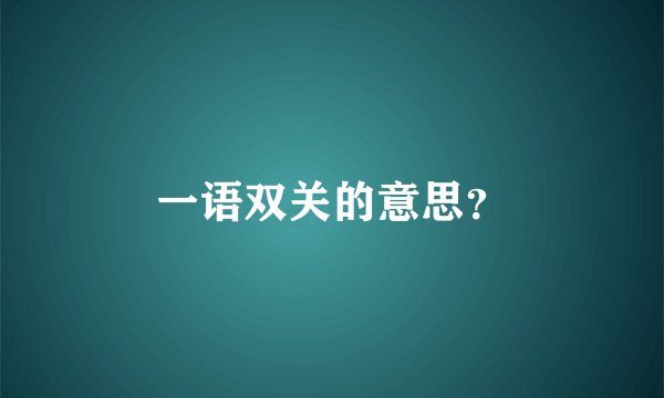 一语双关的意思？