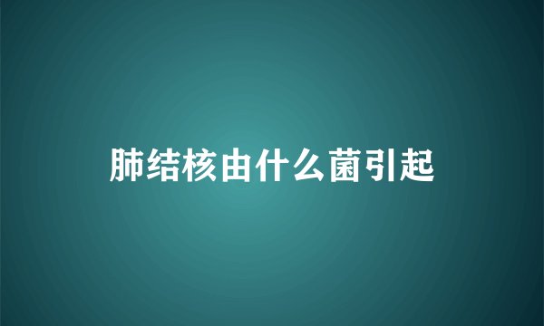 肺结核由什么菌引起