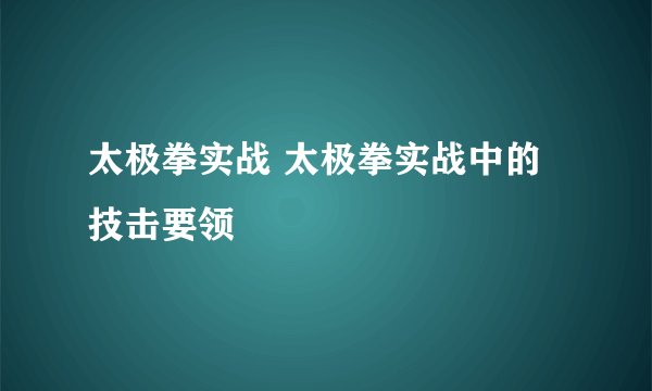 太极拳实战 太极拳实战中的技击要领