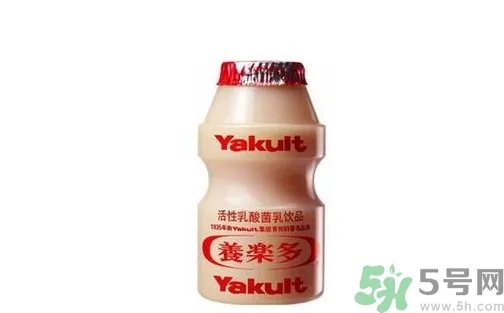 养乐多多少钱一排?养乐多多少钱一瓶?