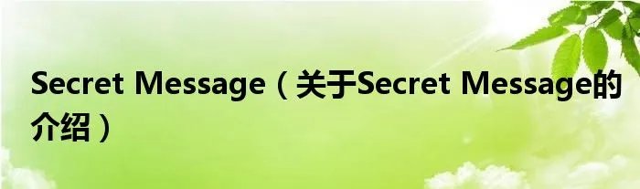 Secret Message（关于Secret Message的介绍）