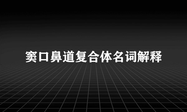 窦口鼻道复合体名词解释