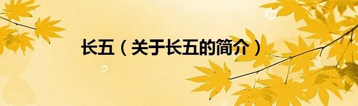 长五（关于长五的简介）