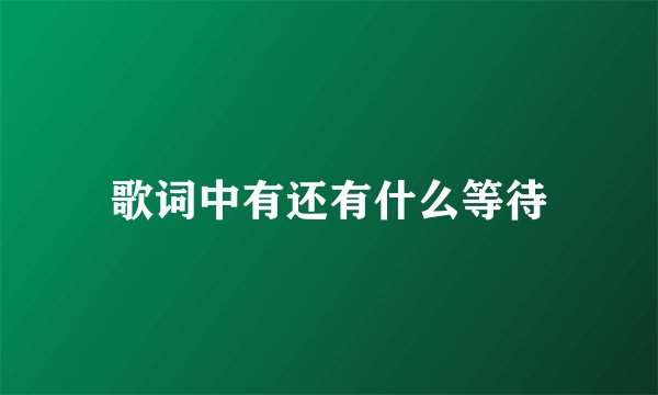 歌词中有还有什么等待