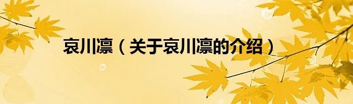 哀川凛（关于哀川凛的介绍）