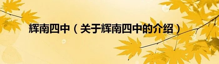 辉南四中（关于辉南四中的介绍）