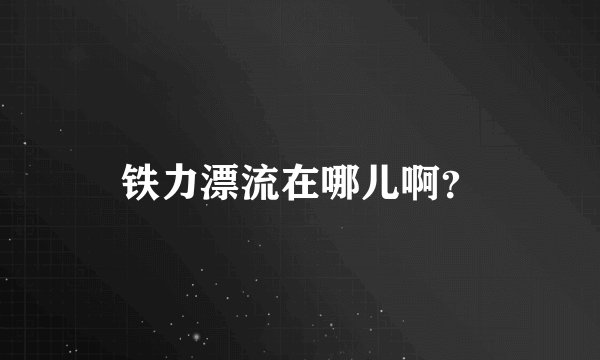 铁力漂流在哪儿啊？