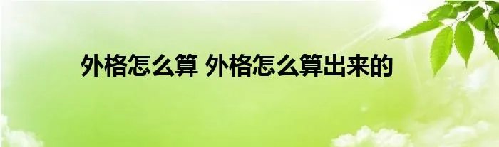 外格怎么算 外格怎么算出来的