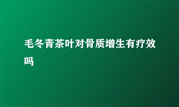 毛冬青茶叶对骨质增生有疗效吗