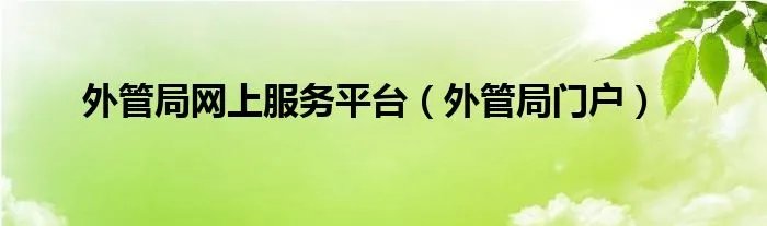 外管局网上服务平台(外管局门户)