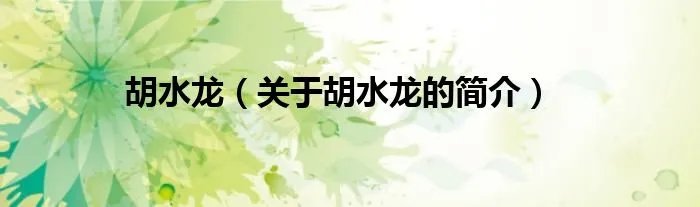 胡水龙（关于胡水龙的简介）