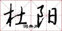 杜阳