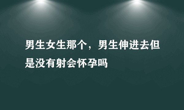 男生女生那个，男生伸进去但是没有射会怀孕吗