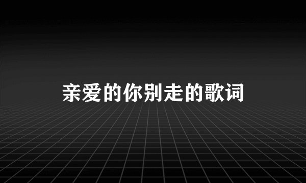 亲爱的你别走的歌词