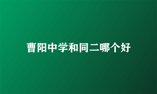 曹阳中学和同二哪个好