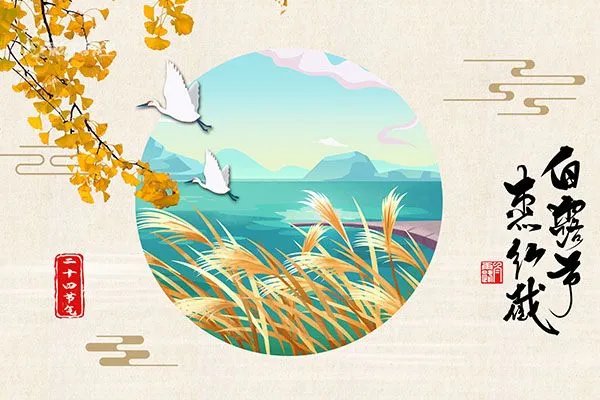 白露吃什么
