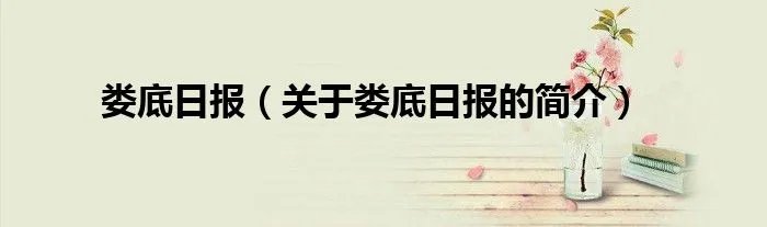 娄底日报（关于娄底日报的简介）